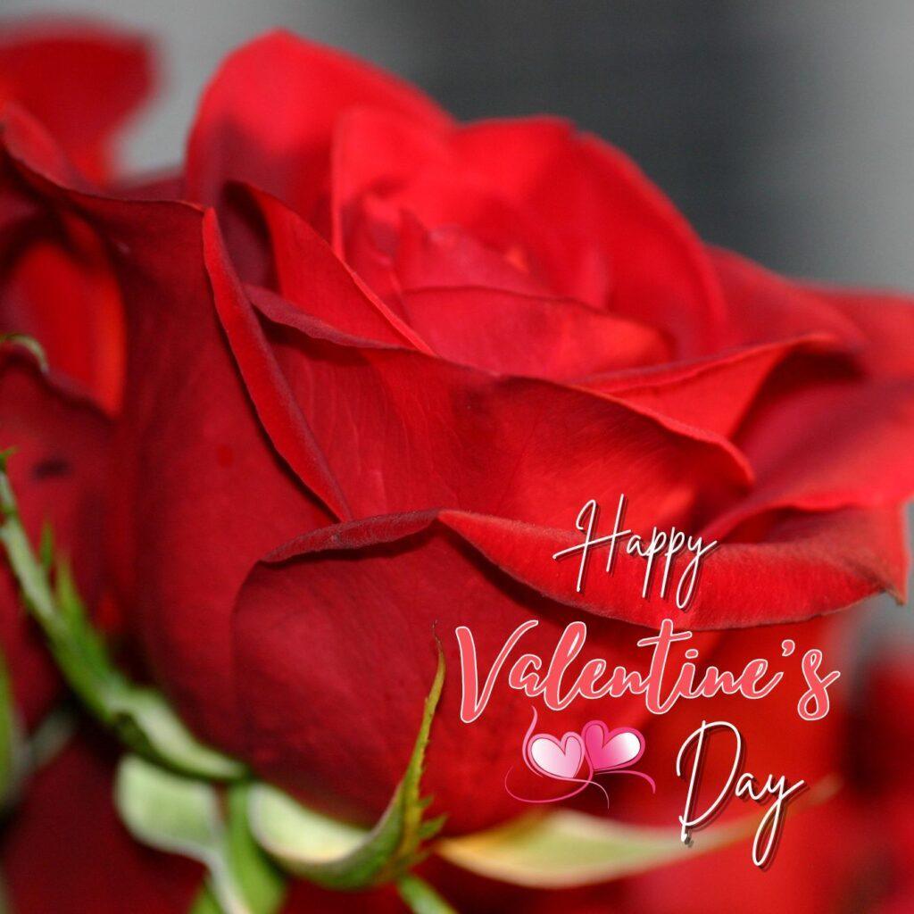 valentines day wishes and images